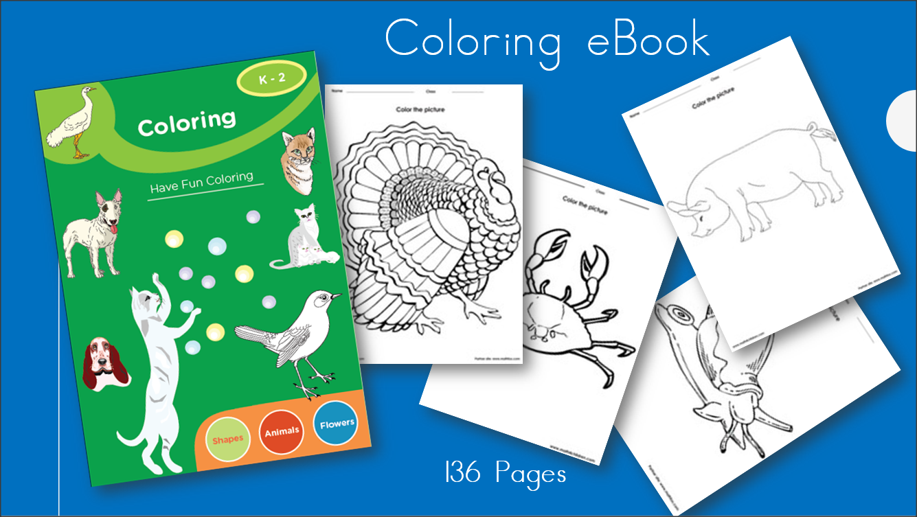 5th grade math ebook